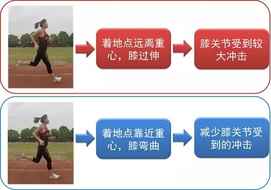 真人游戏(官方)最新IOS/安卓版/手机版APP下载
