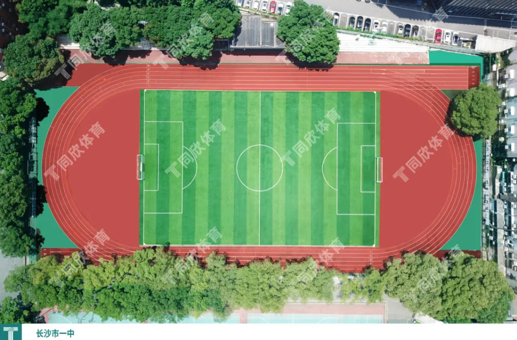 真人游戏(官方)最新IOS/安卓版/手机版APP下载