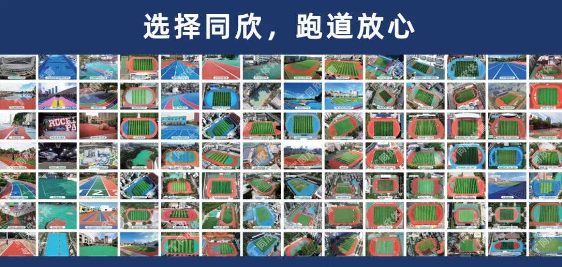 真人游戏(官方)最新IOS/安卓版/手机版APP下载